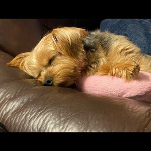 Meet your Posher, Keali